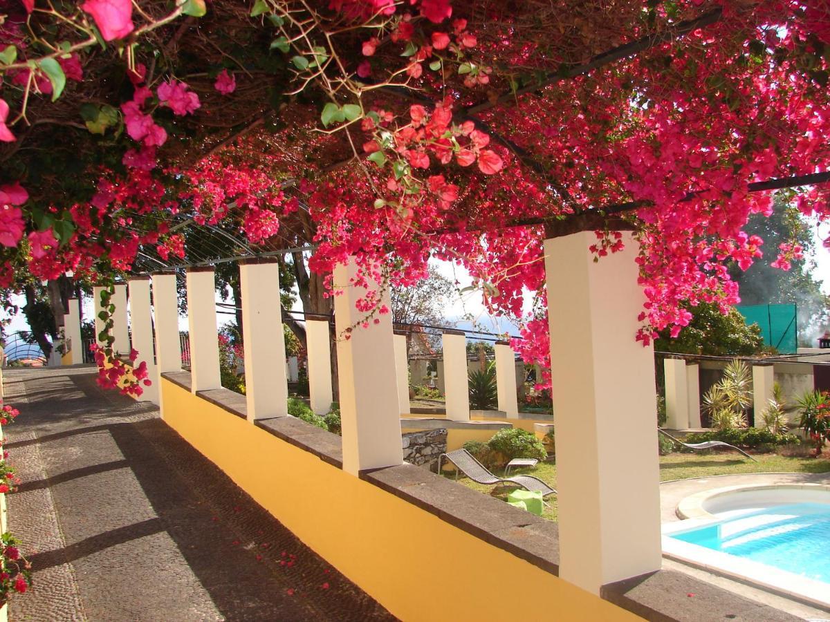 Romantic Studio Funchal  Extérieur photo